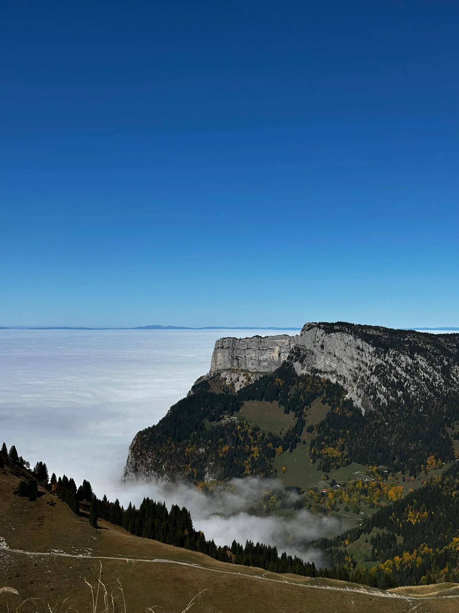 aiguille_verte_1.jpeg