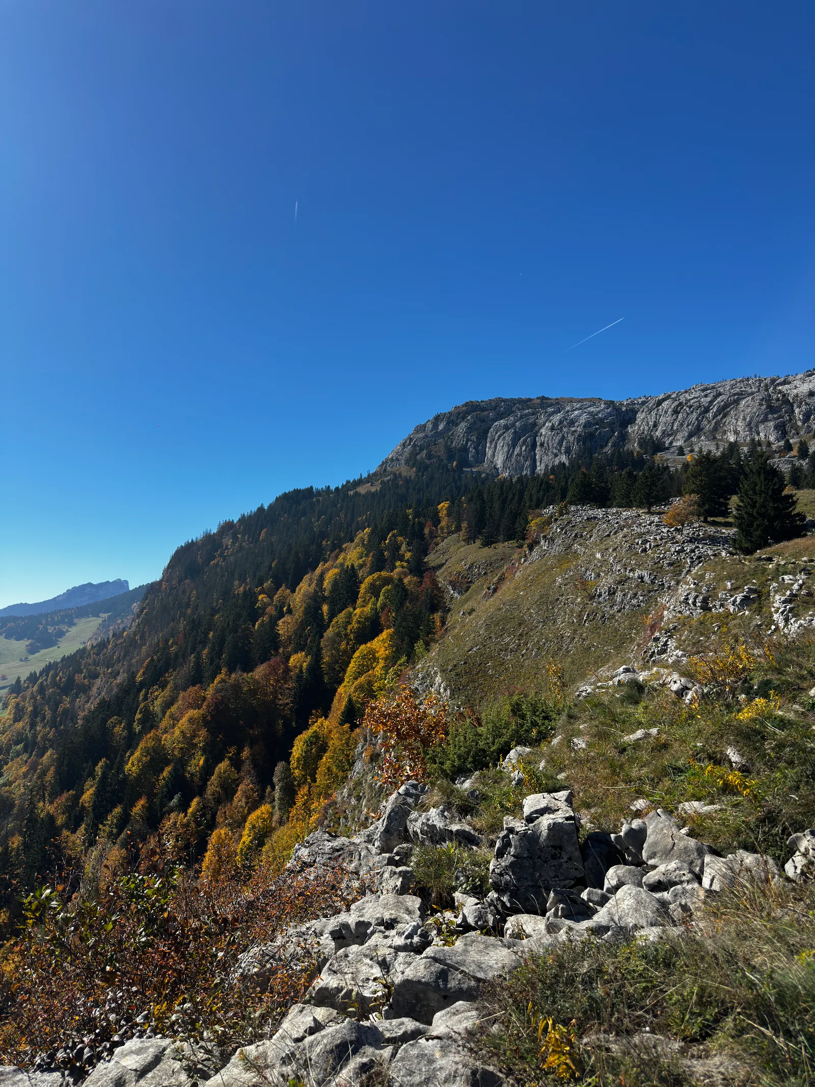 aiguille_verte_6.jpeg
