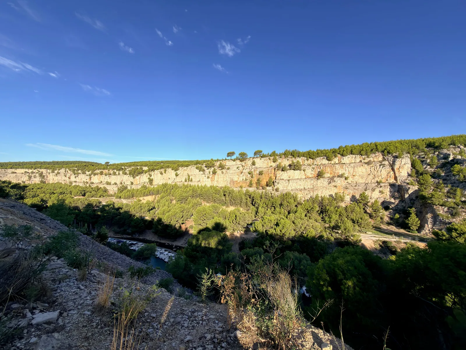 Sentier caillouteux entre les pins et les reliefs calcaires des Calanques.