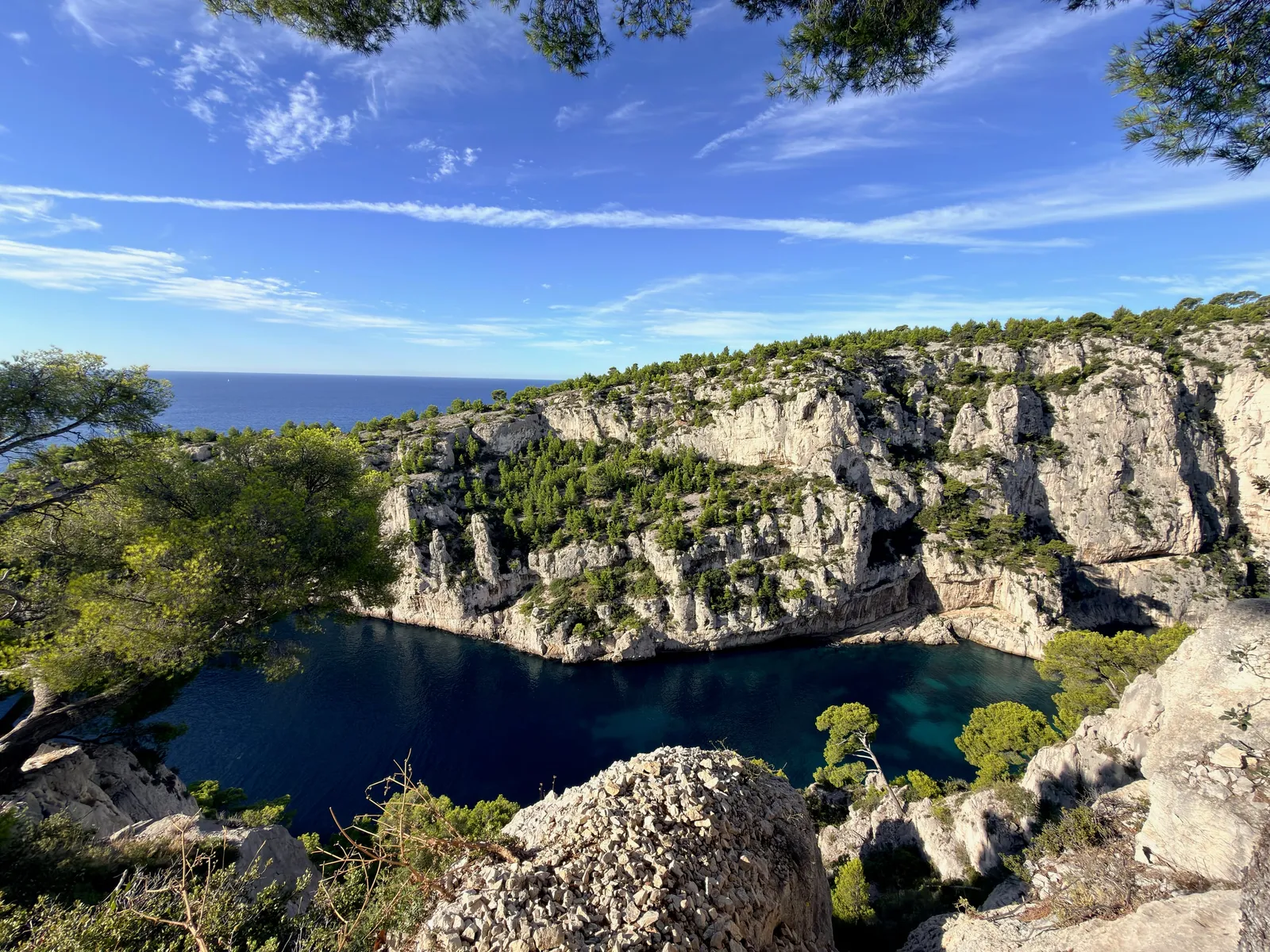 Pins et falaises calcaires au-dessus de la mer.