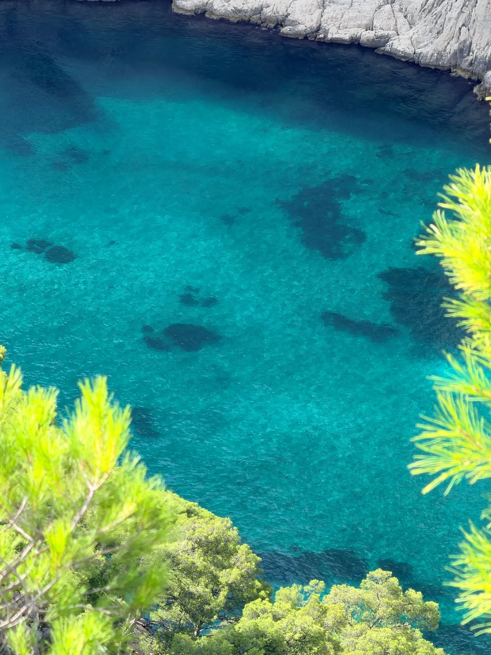 Eau turquoise et fonds rocheux de la calanque vus depuis le sentier.