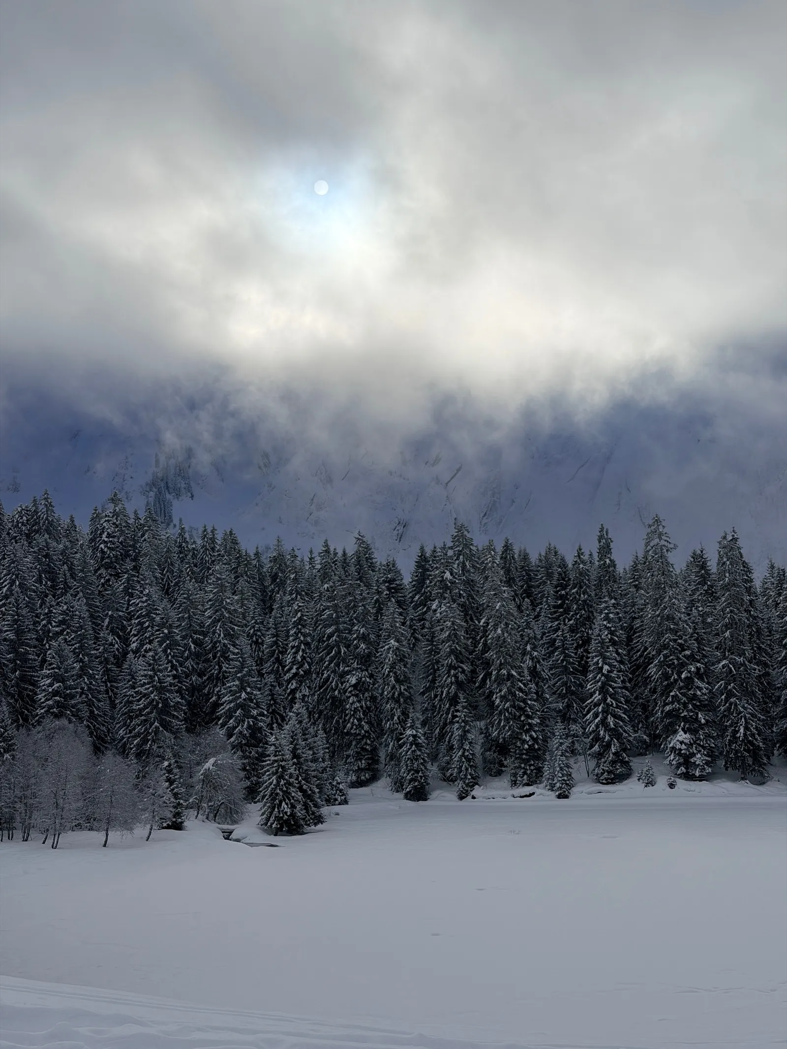Forêt enneigée sous les nuages au départ de la sortie