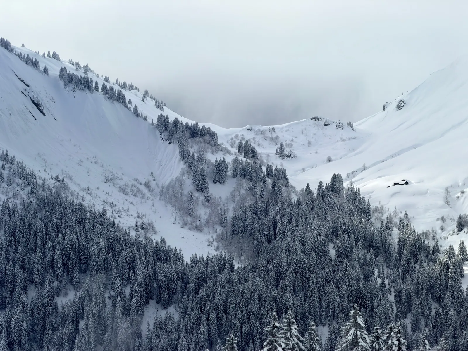 Vallon enneigé et chalets au-dessus de la forêt