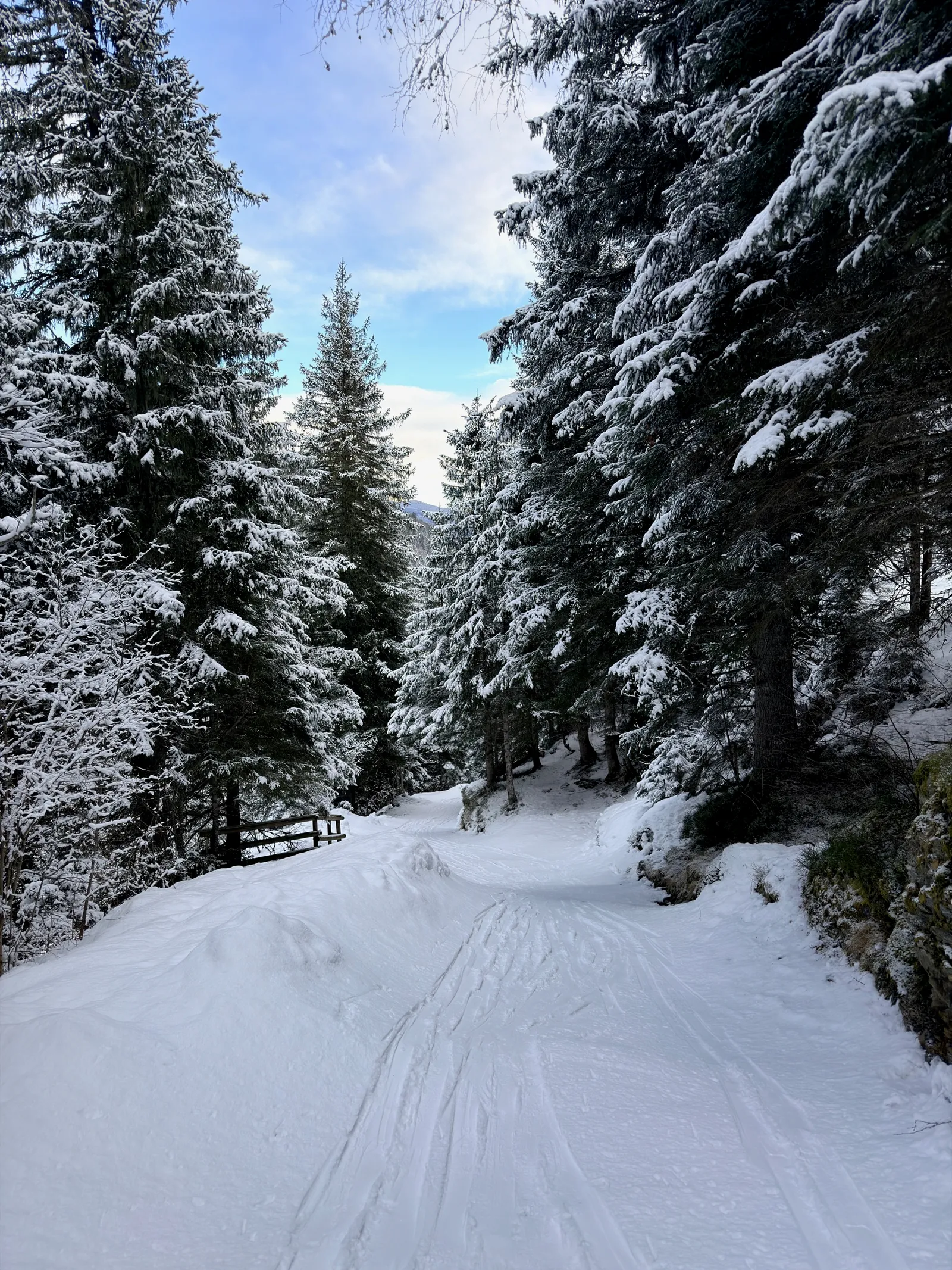 Chemin enneigé entre les sapins sur la voie romaine