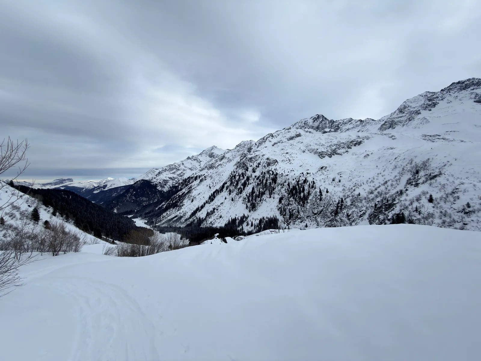 Vue sur le vallon boisé et les pentes enneigées depuis la montée
