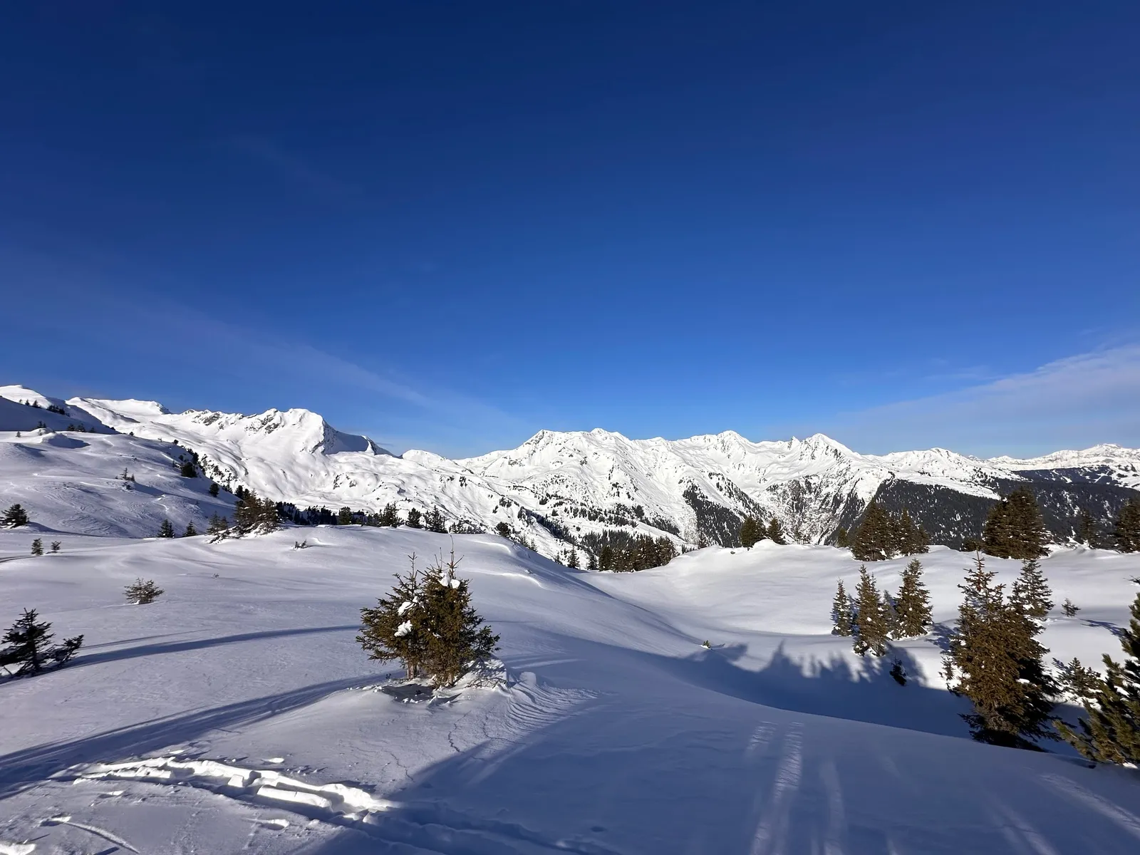Traces de ski entre les conifères et les reliefs enneigés du Beaufortain.