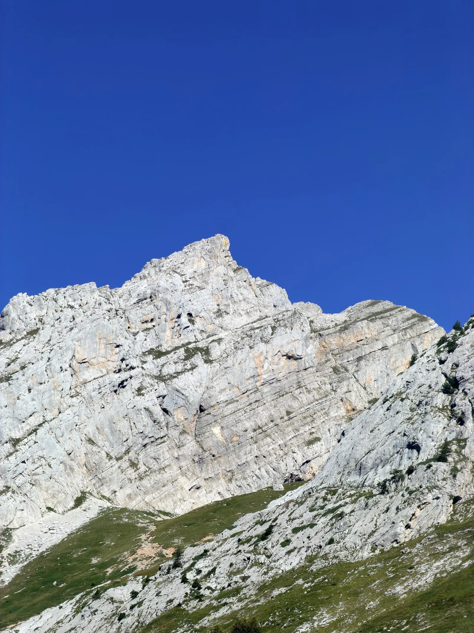 Parois calcaires claires au-dessus des alpages sous un ciel bleu.