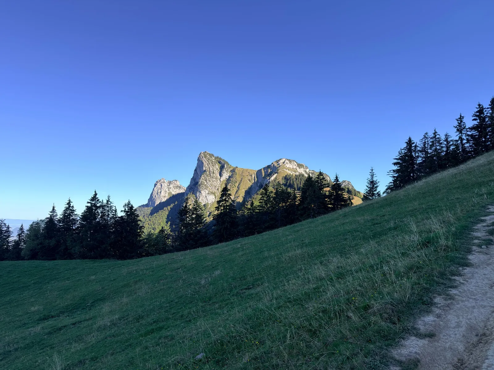 Sentier dans les alpages encore à l’ombre, sous des pointes rocheuses éclairées par le soleil.