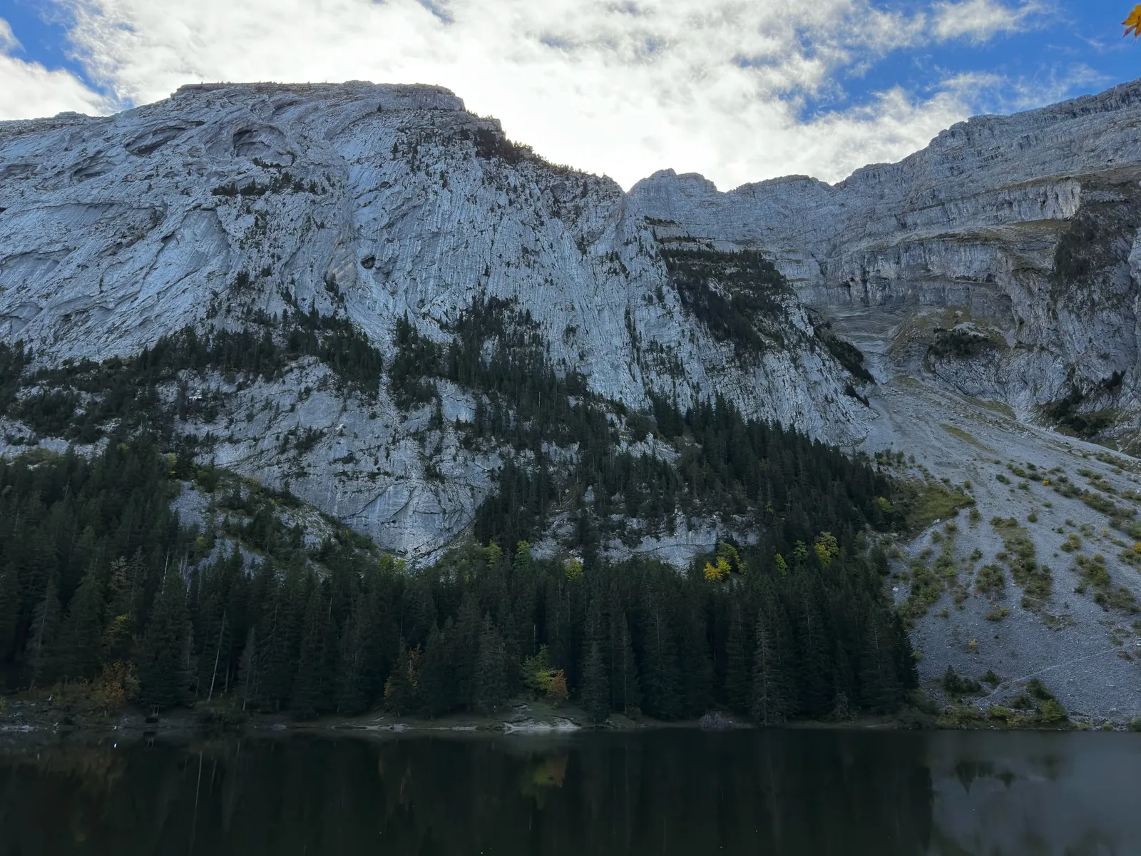 Parois calcaires du Bargy au-dessus du lac et des conifères.