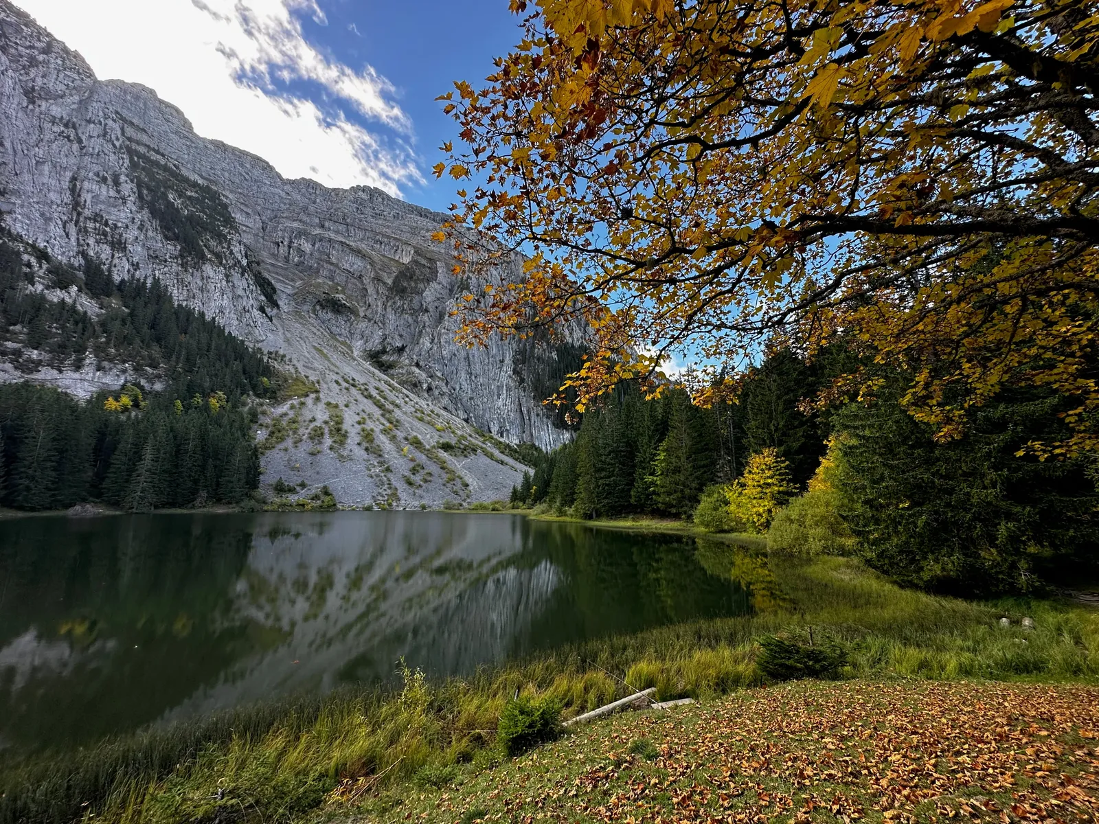 Lac Bénit bordé de conifères et de feuillages jaunes.