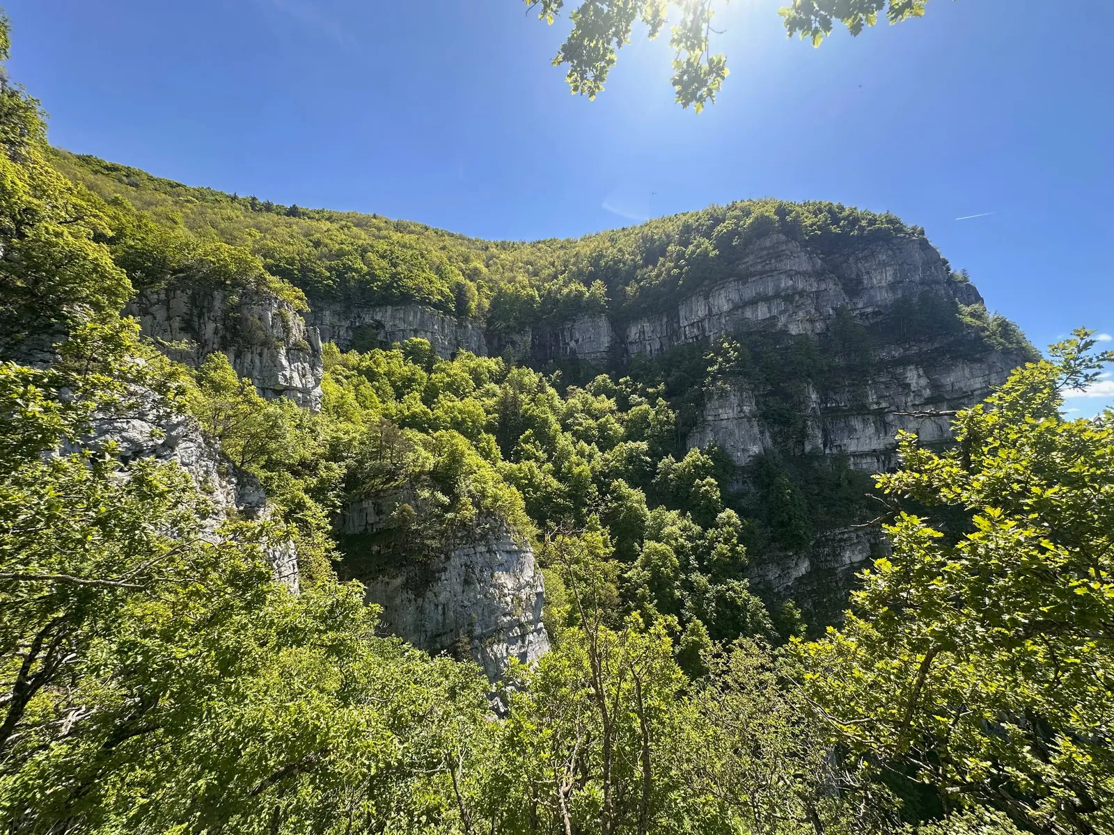 Falaises du Salève au-dessus de la forêt printanière.
