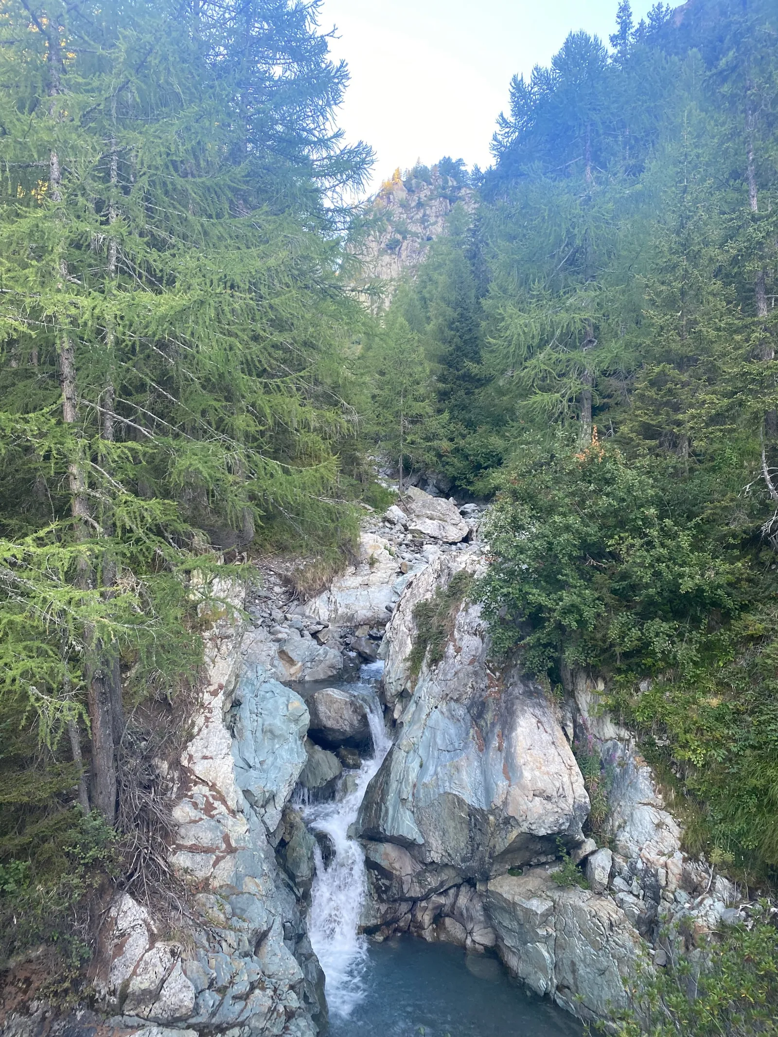 Torrent au milieu des rochers et des conifères au début de la randonnée.