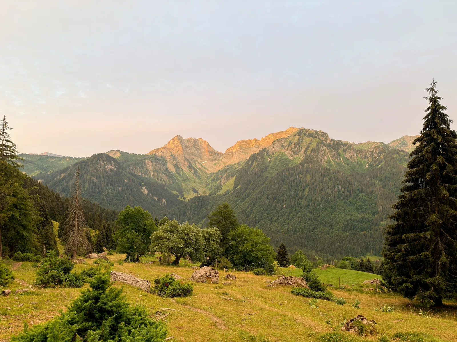 Alpages et conifères devant les reliefs du Chablais éclairés par le soleil levant.