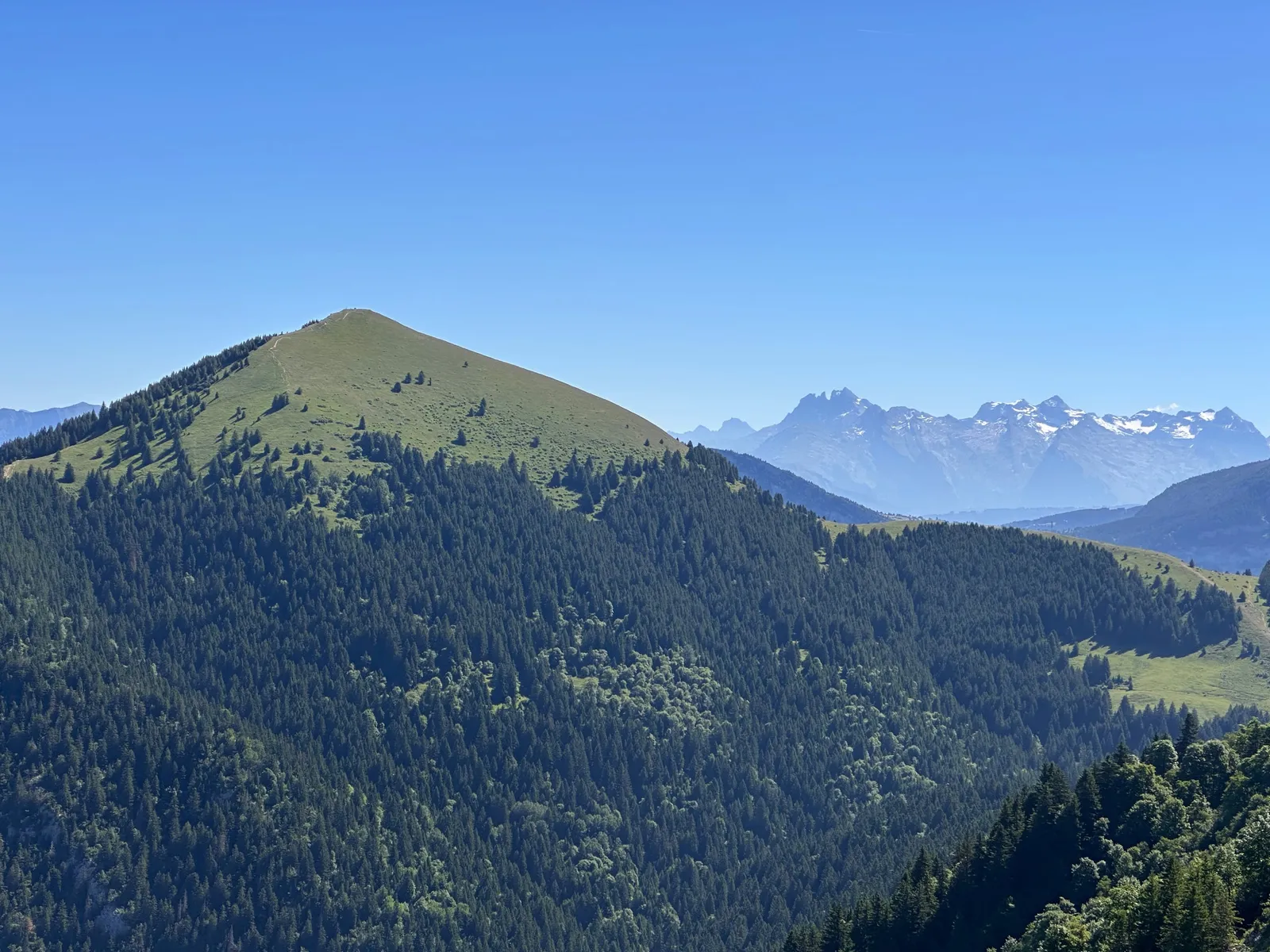 Sommet herbeux et versants boisés vus depuis la randonnée à Sous-Dîne.