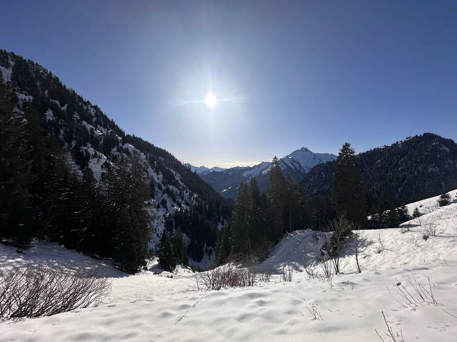 Vallon enneigé entre les conifères, sous le soleil d’hiver.