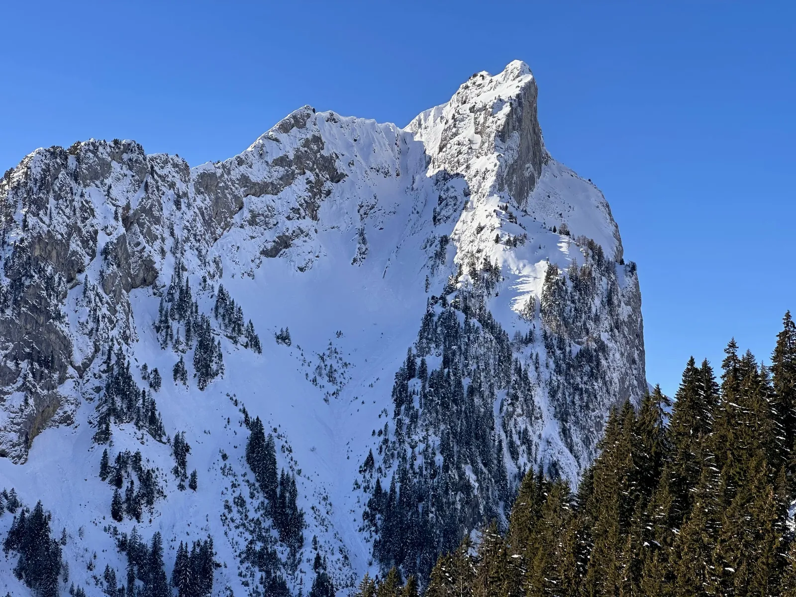 Pointe rocheuse enneigée au-dessus de la forêt.