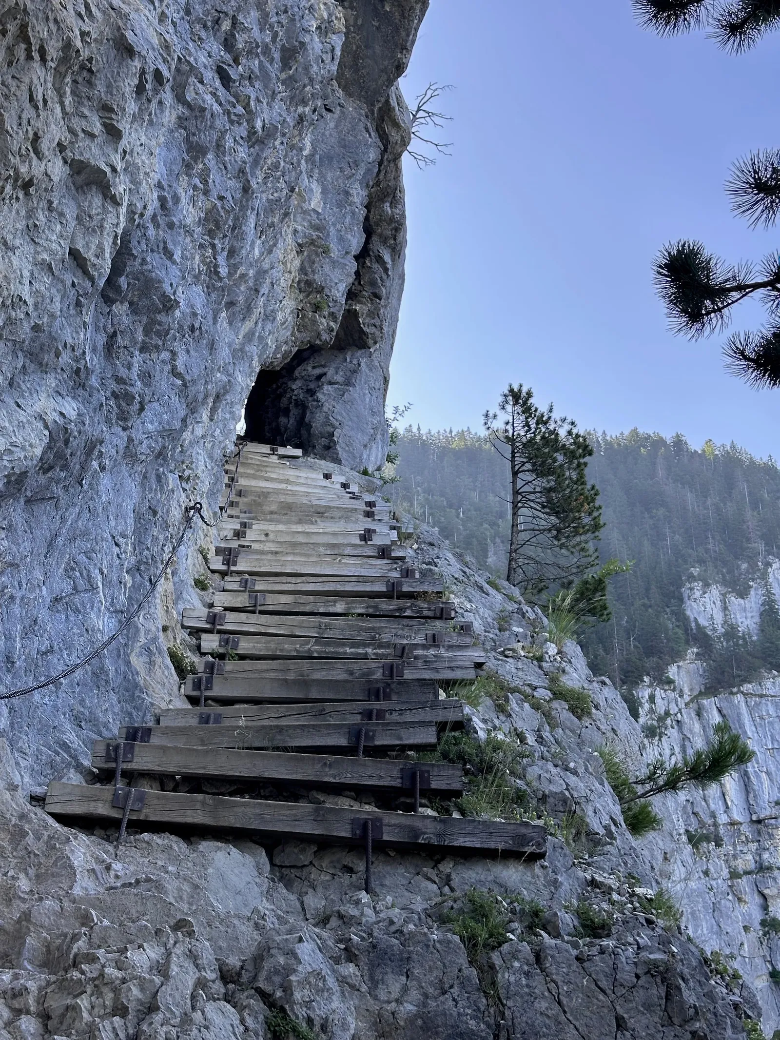 Marches fixées au rocher sur le sentier du Pas du Roc.