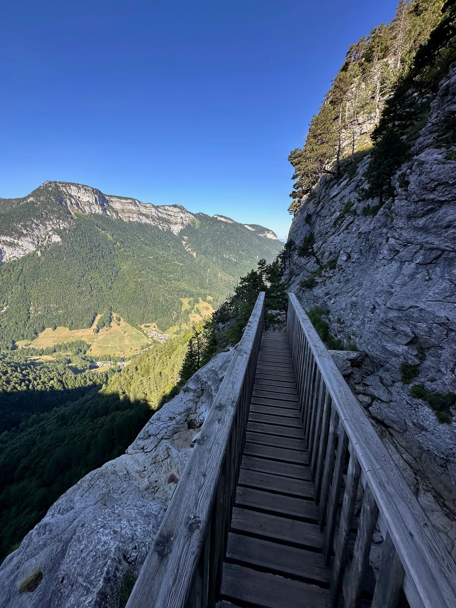 Passerelle le long de la paroi, au-dessus du vallon boisé.