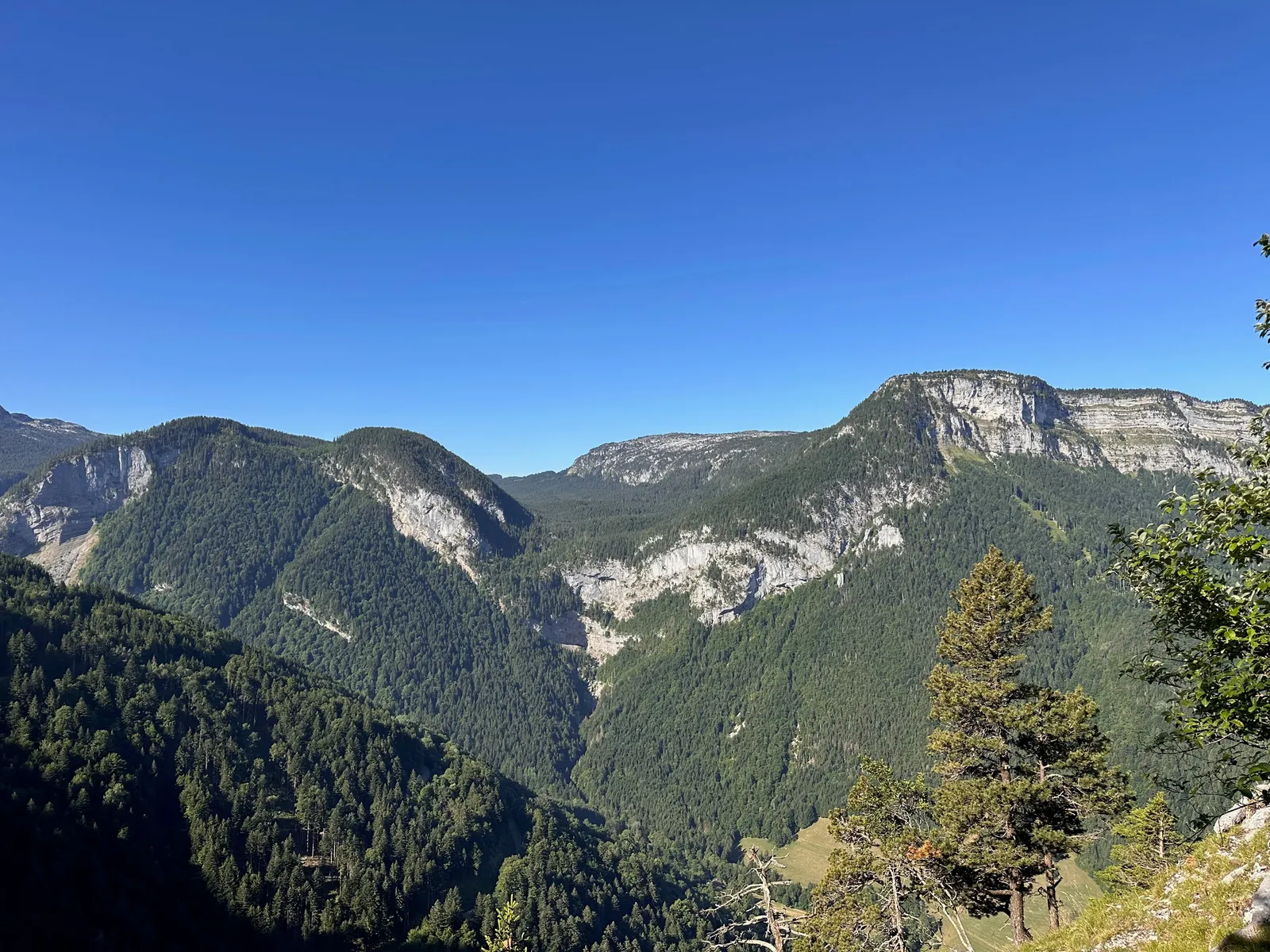 Falaises et versants boisés vus depuis le sentier.