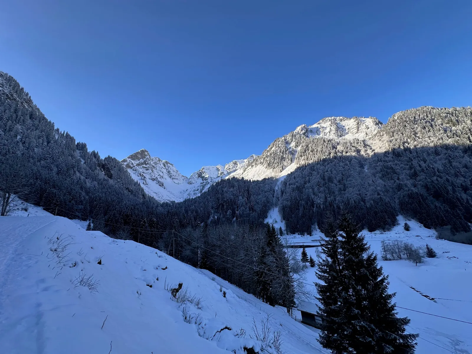 Vallon enneigé et conifères à l’ombre, sous les sommets éclairés.