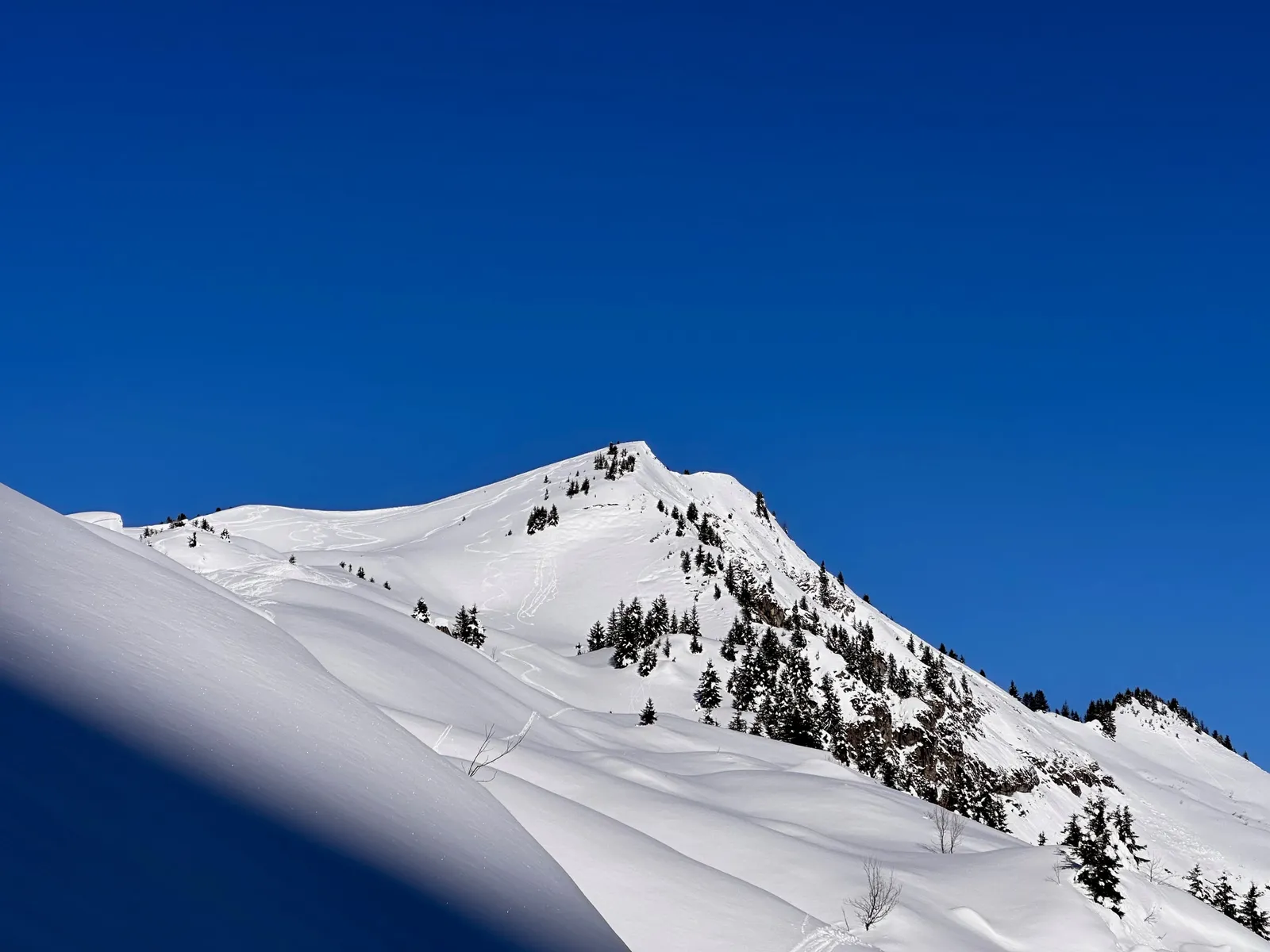 Crête enneigée marquée par les ombres, sur la sortie à la pointe d’Ardens.