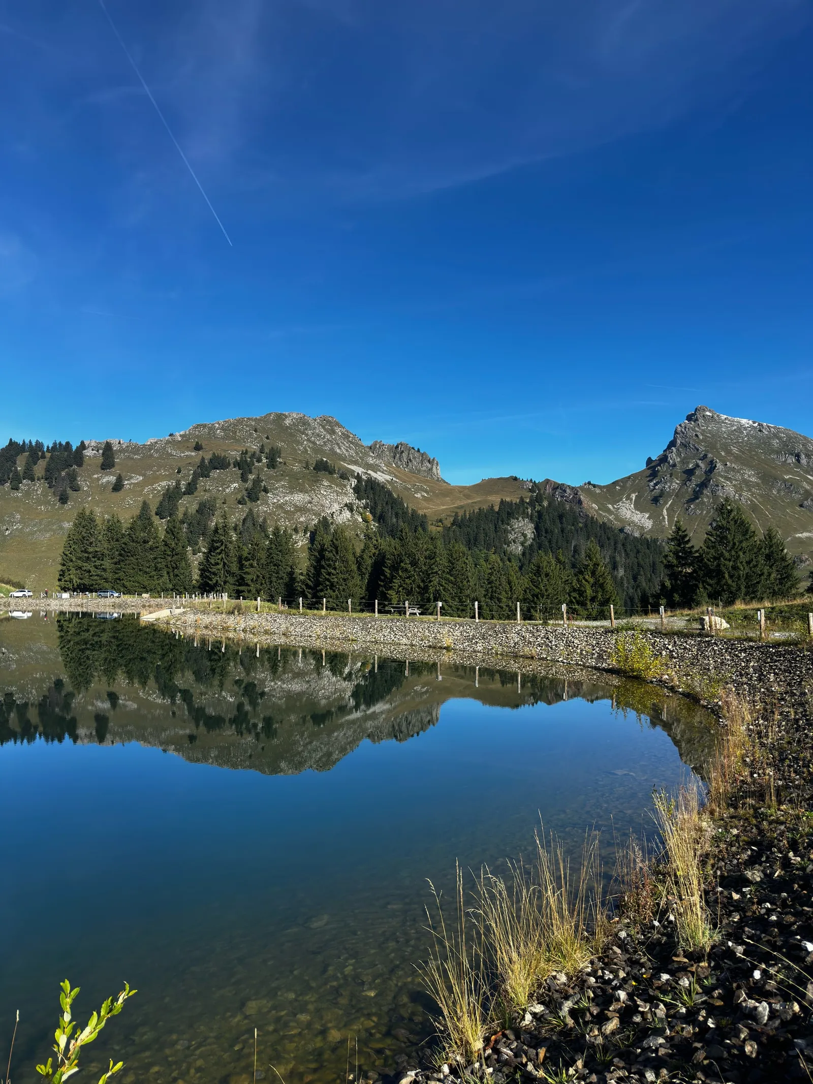 Reliefs et conifères reflétés dans un plan d’eau au bord des alpages.