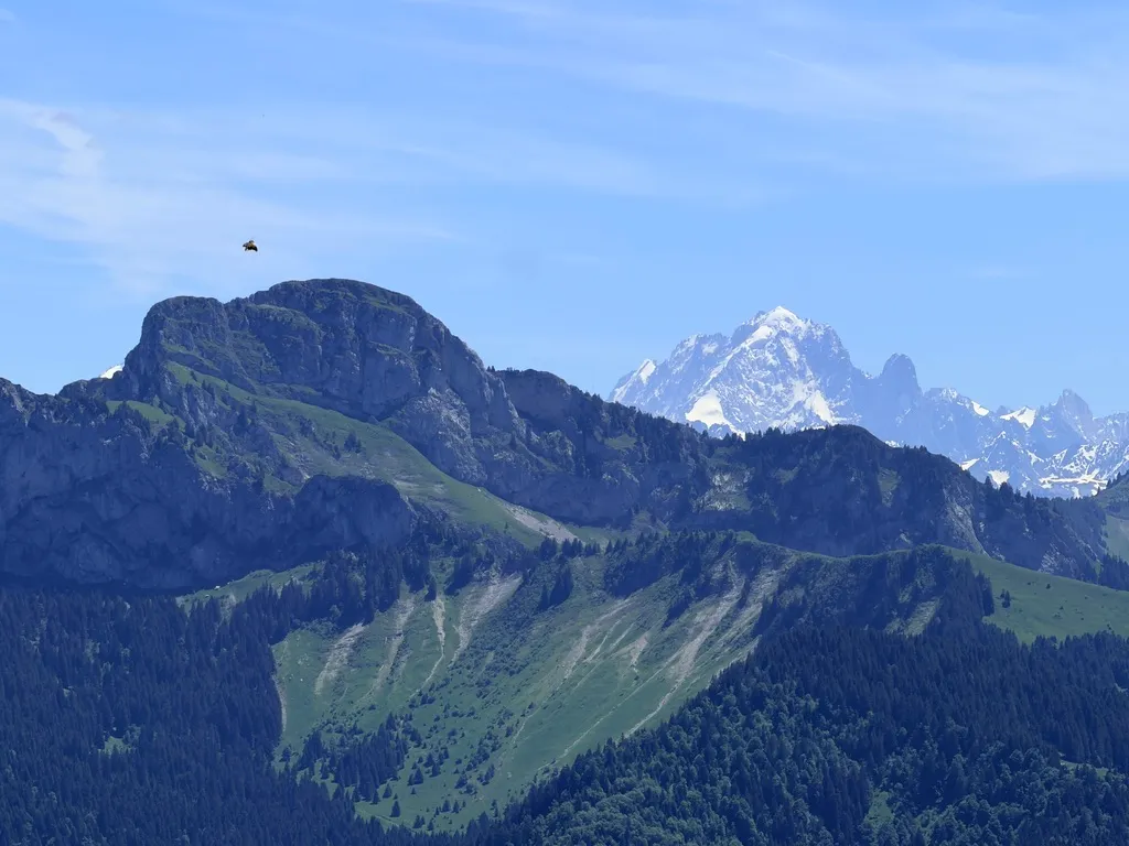 Parois et versants boisés devant un sommet enneigé depuis Miribel.