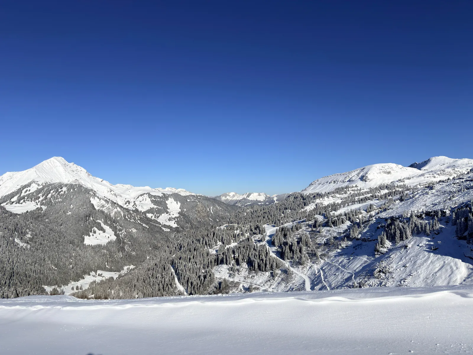 Pentes et forêts enneigées du Chablais depuis les Rochassons