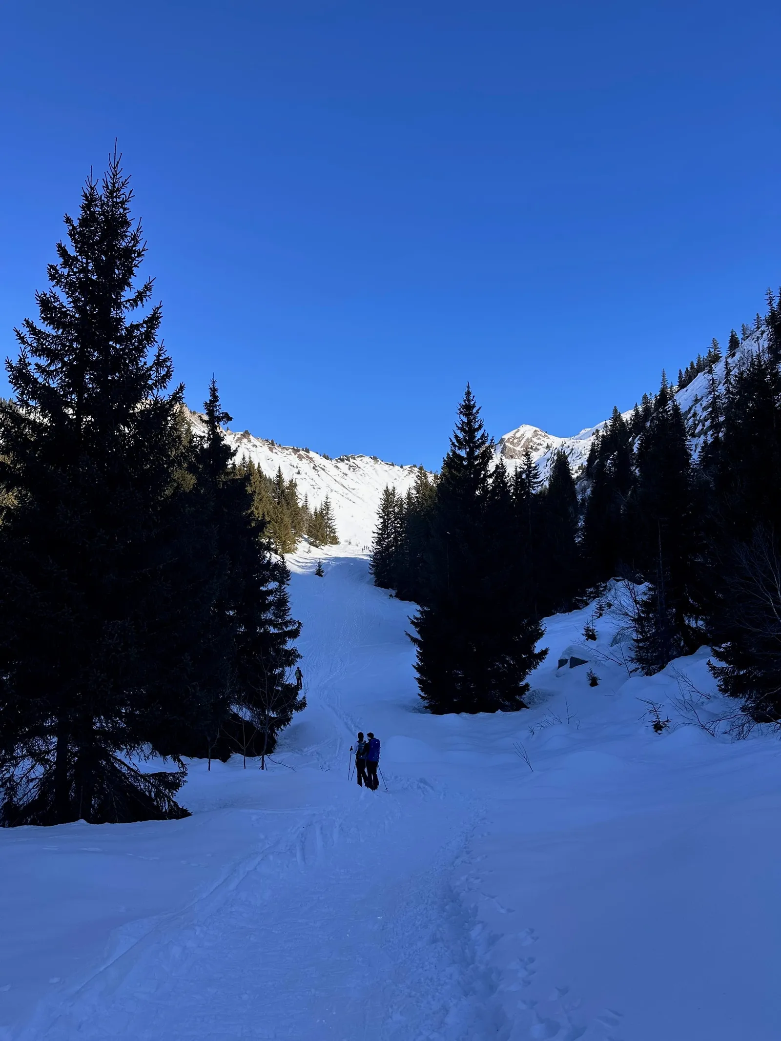 Trace dans un vallon enneigé bordé de conifères.