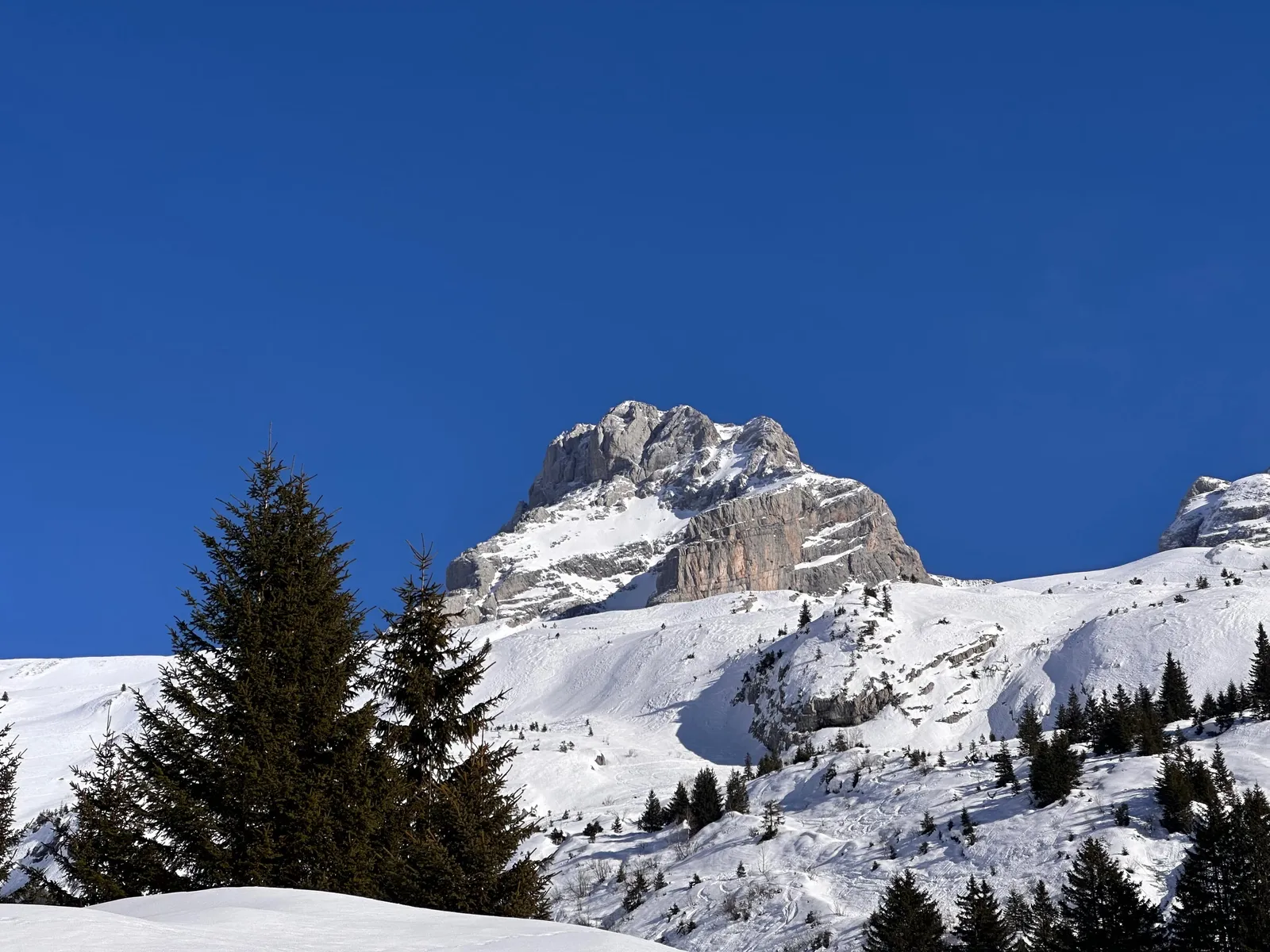Sommet rocheux au-dessus des conifères et des pentes de neige.