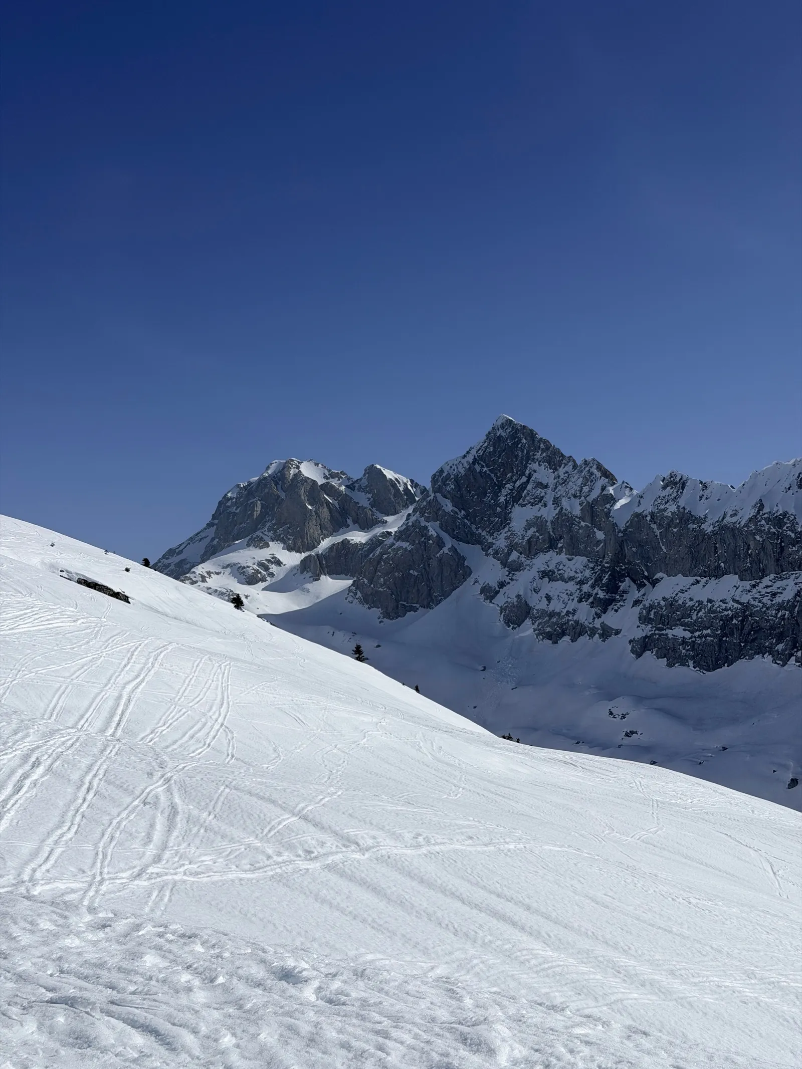 Traces de ski dans les alpages enneigés face aux parois calcaires