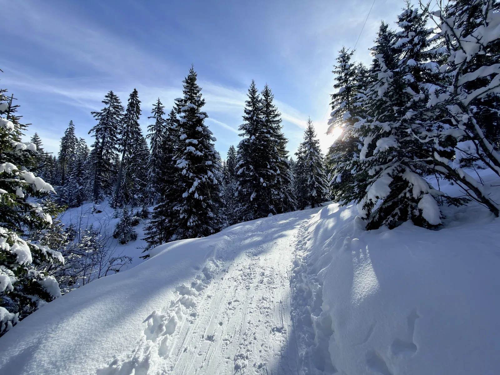 Trace de ski entre les sapins enneigés au-dessus de Romme