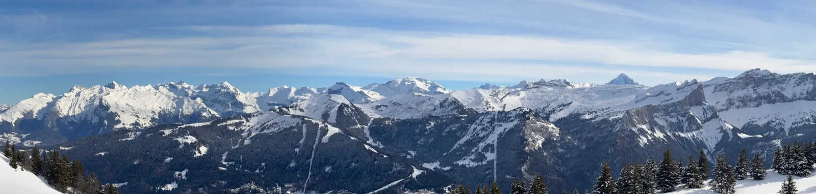 Large panorama de sommets enneigés au-dessus des forêts depuis la Sallaz.