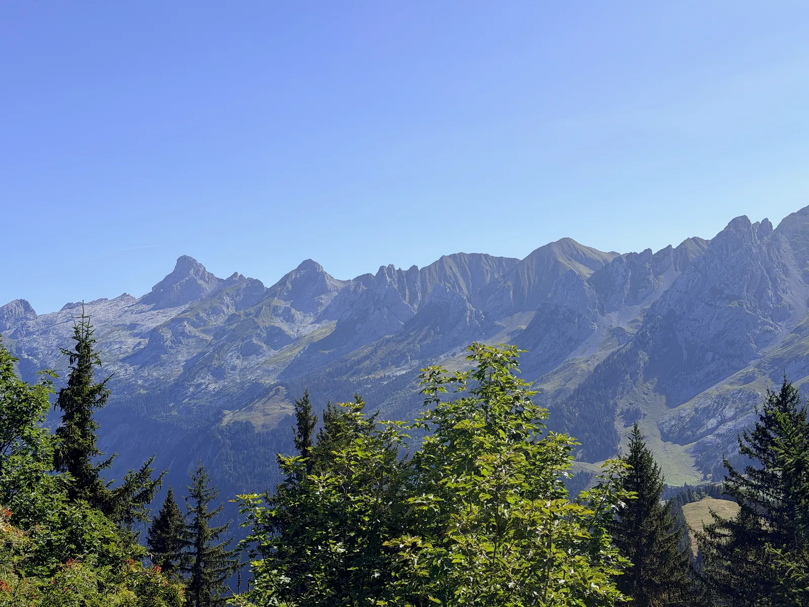 Ligne de crête des Aravis au-dessus des conifères au premier plan.