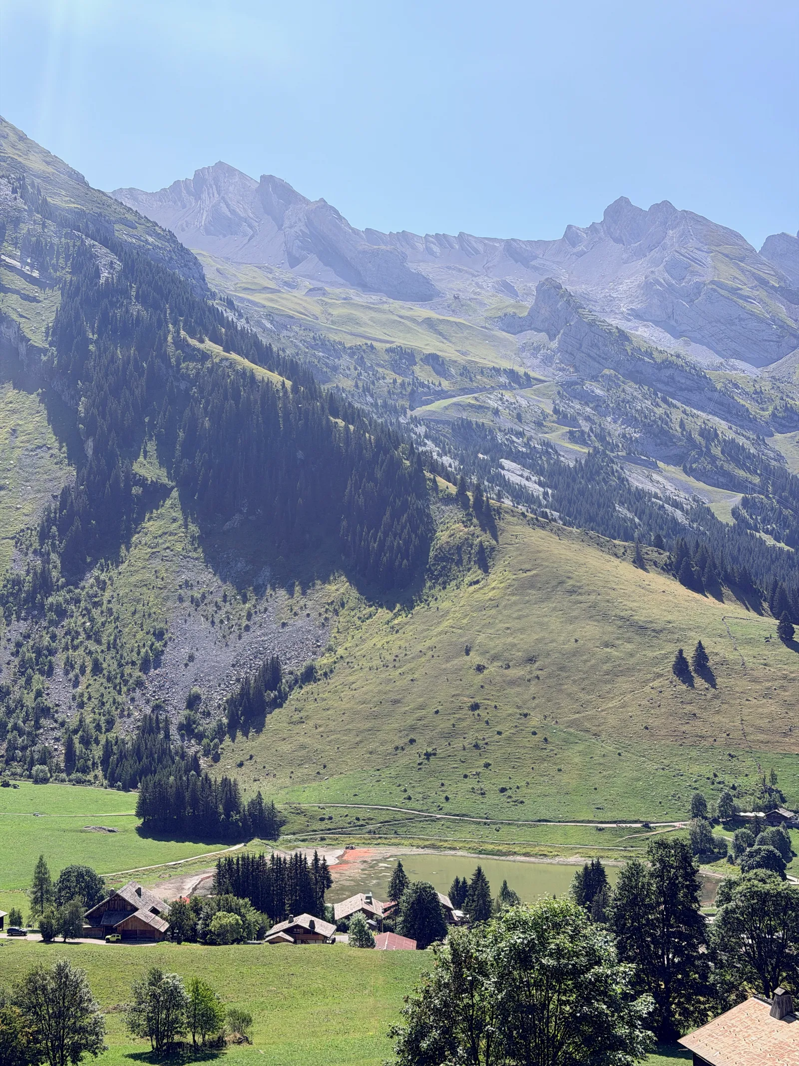 Vue verticale sur les prairies et les chalets des Confins au pied de versants rocheux.
